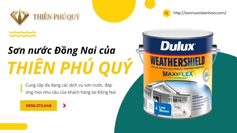 dich-vu-son-nuoc-dong-nai-cua-thien-phu-quy
